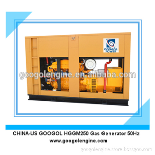 Googol HGGM250 Gas Generator Supplier